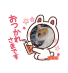 しょうちゃんちのおよめさんのもずくちゃん（個別スタンプ：6）
