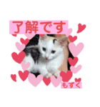 しょうちゃんちのおよめさんのもずくちゃん（個別スタンプ：7）