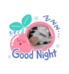 しょうちゃんちのおよめさんのもずくちゃん（個別スタンプ：8）