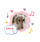 コロンちゃんの可愛いスタンプ（個別スタンプ：2）