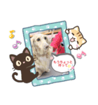 コロンちゃんの可愛いスタンプ（個別スタンプ：8）