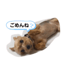 アポくん①（個別スタンプ：9）