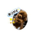 キース・レア（個別スタンプ：5）