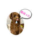 キース・レア（個別スタンプ：6）