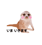 ミーアのはまち、時々ぶり（個別スタンプ：32）