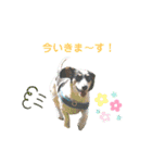 ホムワト3（個別スタンプ：3）