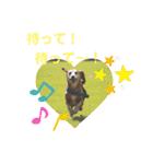 ホムワト3（個別スタンプ：12）