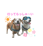 ホムワト3（個別スタンプ：15）