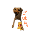 愛犬シエル（個別スタンプ：7）