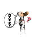 ビーグルのマーティンのスタンプ(大量)（個別スタンプ：13）