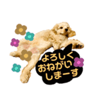 milchanすたんぷ2（個別スタンプ：3）