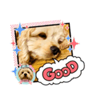 milchanすたんぷ2（個別スタンプ：8）