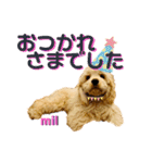milchanすたんぷ2（個別スタンプ：10）