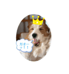 エルマースタンプ（個別スタンプ：4）