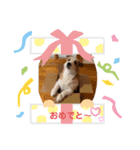 エルマースタンプ（個別スタンプ：6）