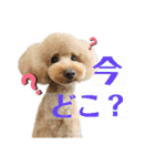 クゥまるスタンプ（個別スタンプ：2）