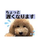 クゥまるスタンプ（個別スタンプ：4）