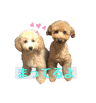 クゥまるスタンプ（個別スタンプ：5）