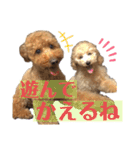 クゥまるスタンプ（個別スタンプ：10）
