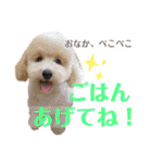 クゥまるスタンプ（個別スタンプ：11）
