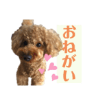 クゥまるスタンプ（個別スタンプ：16）