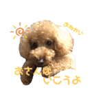 クゥまるスタンプ（個別スタンプ：25）