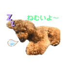 クゥまるスタンプ（個別スタンプ：27）