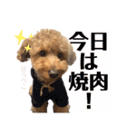 クゥまるスタンプ（個別スタンプ：29）