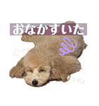 クゥまるスタンプ（個別スタンプ：30）