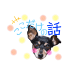 ミニピンのハナちゃん（個別スタンプ：4）