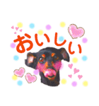 ミニピンのハナちゃん（個別スタンプ：11）