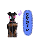 ミニピンのハナちゃん（個別スタンプ：28）
