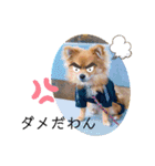 チャロすたんぷ（個別スタンプ：20）