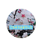 花のあいさつスタンプ2（個別スタンプ：11）
