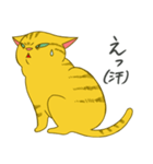 おっさんねこ茶トラさん。（個別スタンプ：3）