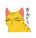 おっさんねこ茶トラさん。（個別スタンプ：4）