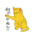 おっさんねこ茶トラさん。（個別スタンプ：5）