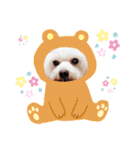 leokaマルチー（個別スタンプ：13）