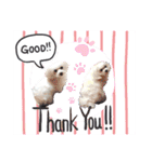 leokaマルチー（個別スタンプ：15）