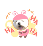 leokaマルチー（個別スタンプ：22）