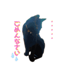 保護黒猫プティのぷぅちゃん（個別スタンプ：5）