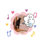 保護黒猫プティのぷぅちゃん（個別スタンプ：12）