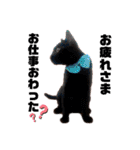 保護黒猫プティのぷぅちゃん（個別スタンプ：18）