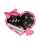 保護黒猫プティのぷぅちゃん（個別スタンプ：21）