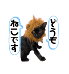 保護黒猫プティのぷぅちゃん（個別スタンプ：28）