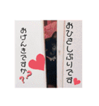 保護黒猫プティのぷぅちゃん（個別スタンプ：39）