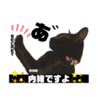 保護黒猫プティのぷぅちゃん（個別スタンプ：40）