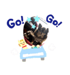 Chihuahua's Song ソラとリズ ③（個別スタンプ：15）
