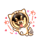 Chihuahua's Song ソラとリズ ③（個別スタンプ：17）