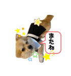 ぽめちーの日常2（個別スタンプ：24）